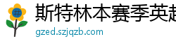 斯特林本赛季英超打入6球